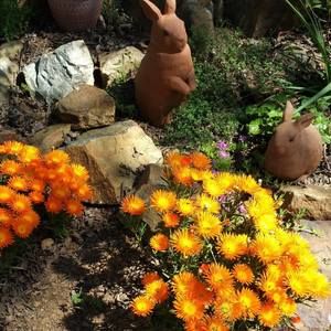 Meet your Posher, Della